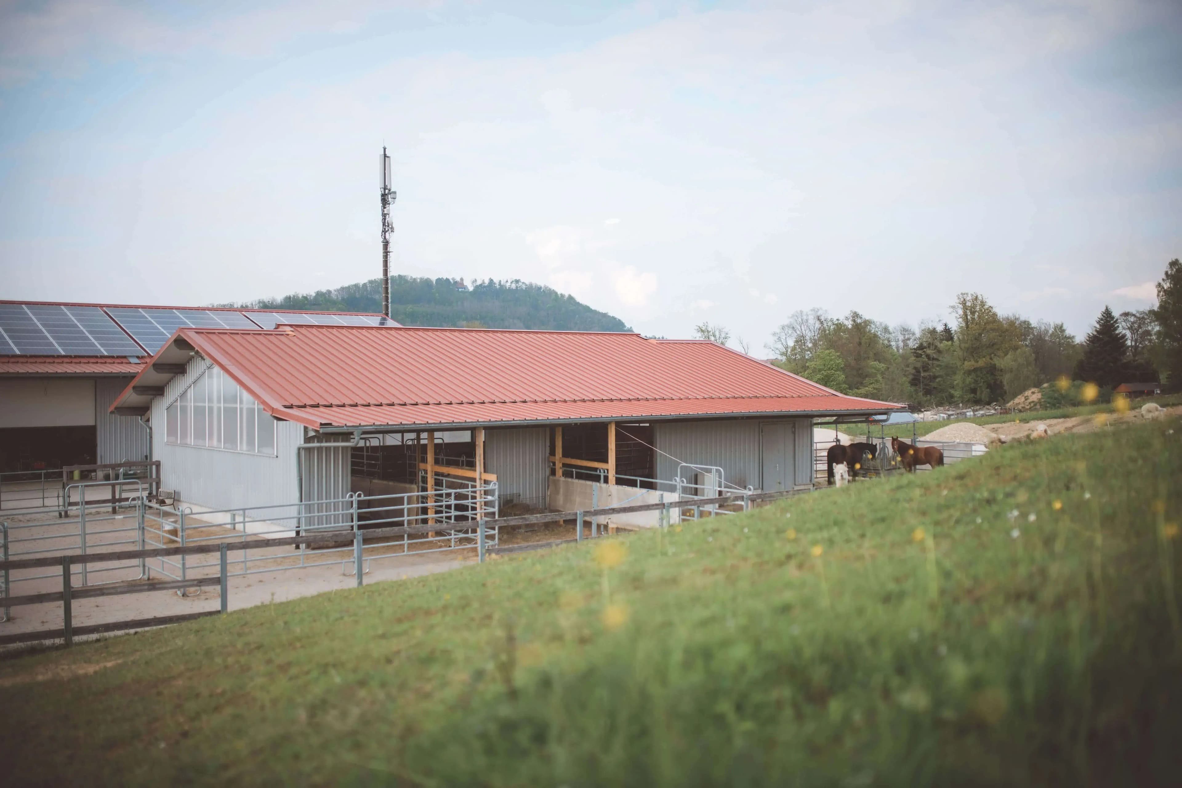 Aktivstall für Pferde auf der Hanik-Ranch