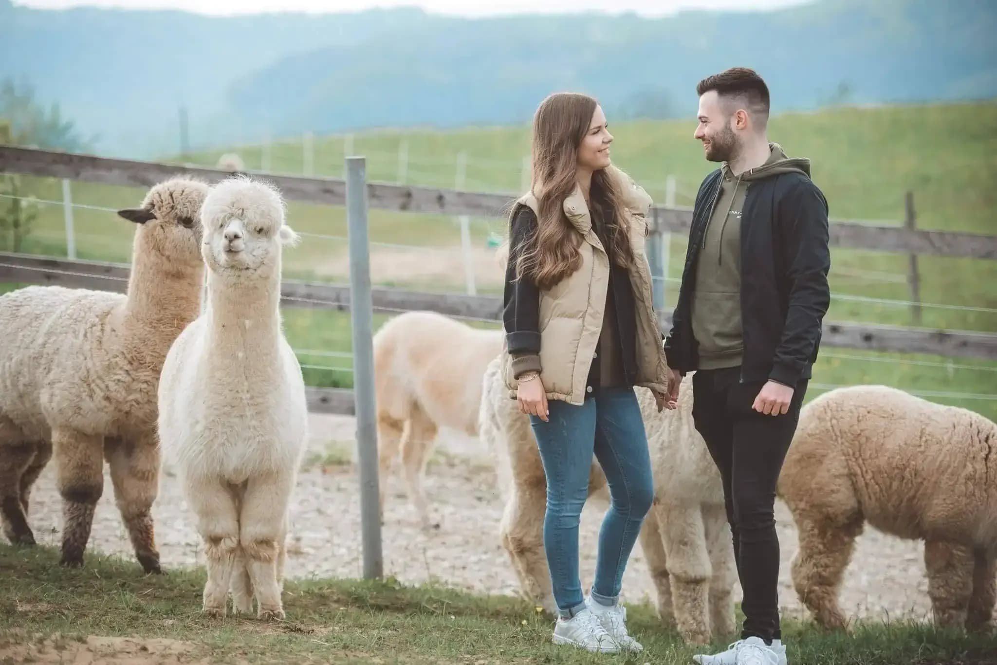 Romantik Tour