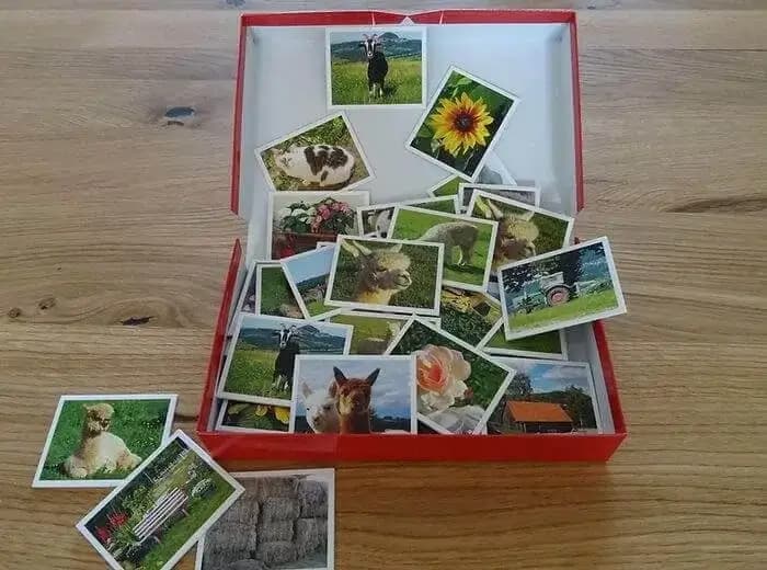 Hanik Ranch Memory