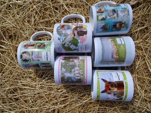 Alpaka Panorama Tasse