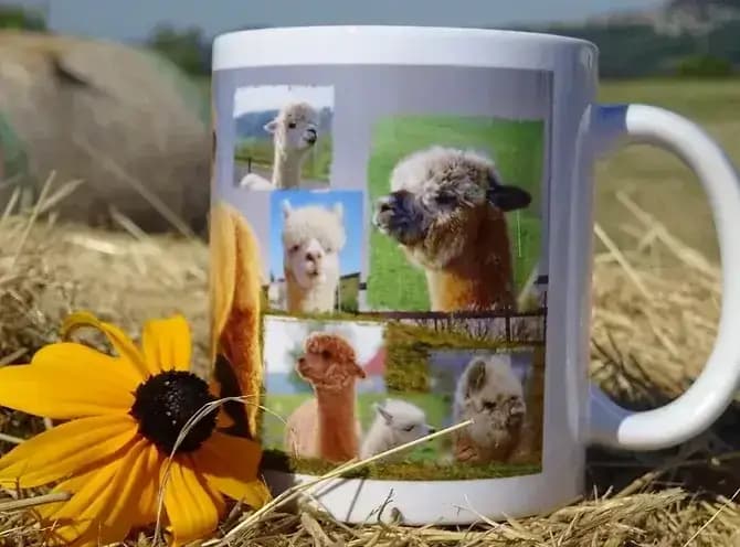 Alpaka Panorama Tasse