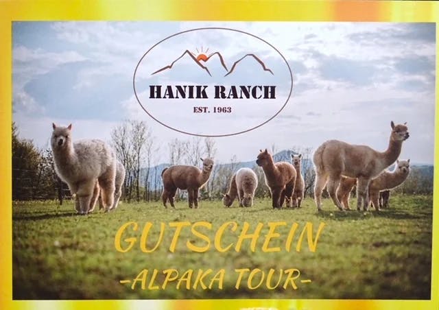 Gutschein Alpaka Tour
