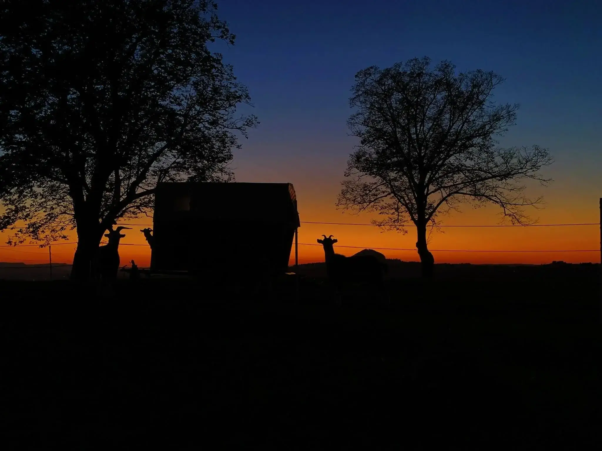 Hanik Ranch Galerie 12