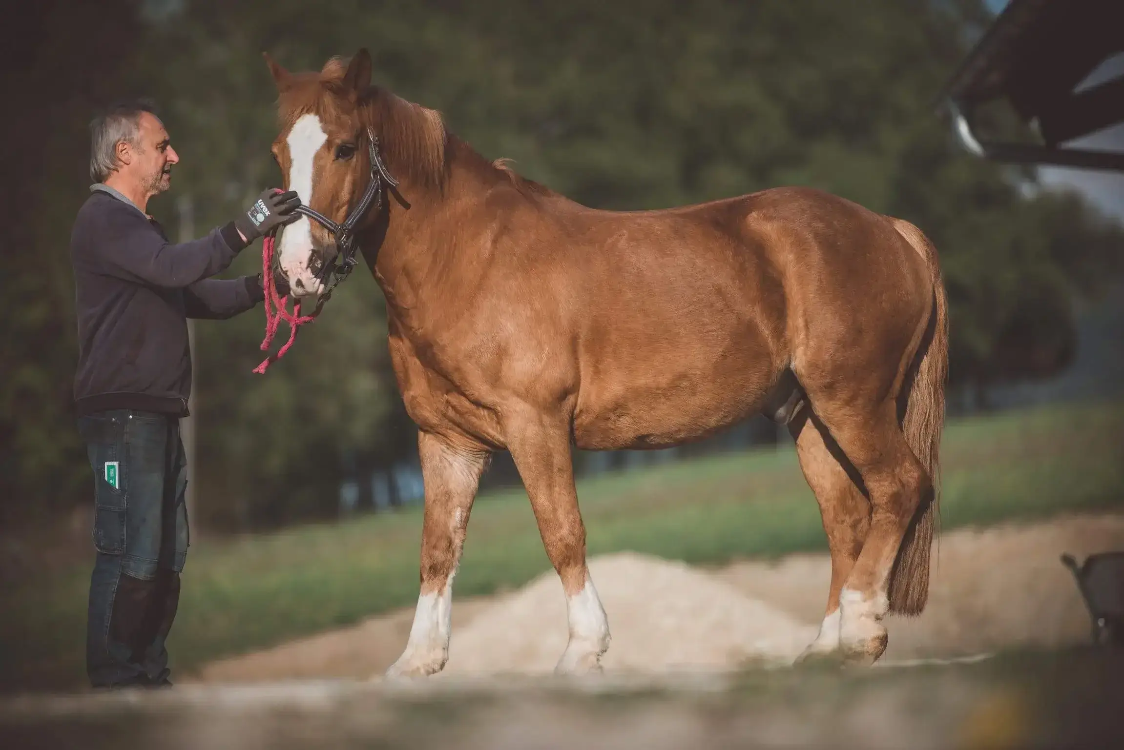 Hanik Ranch Galerie 8